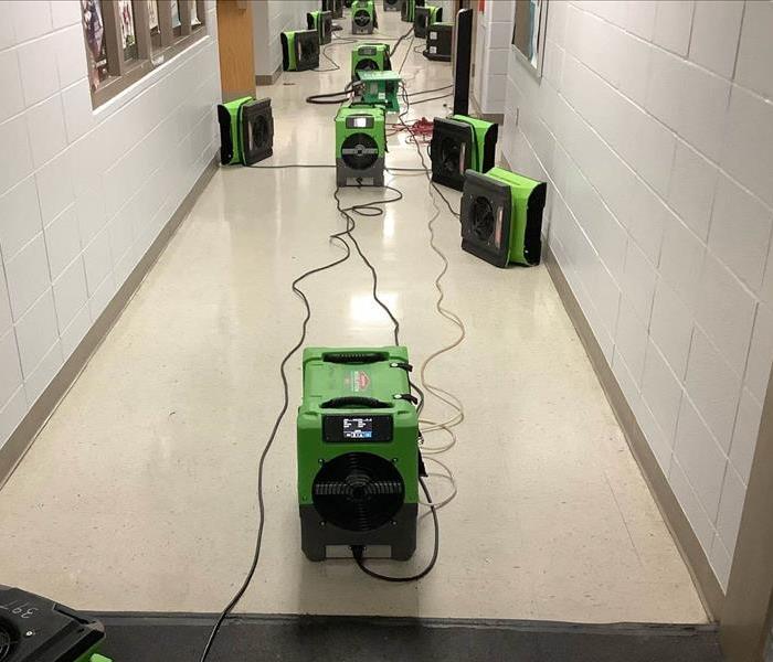Green drying equipment on floor of a business.